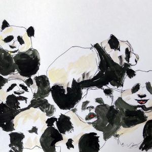 Osos Panda divirtiéndose